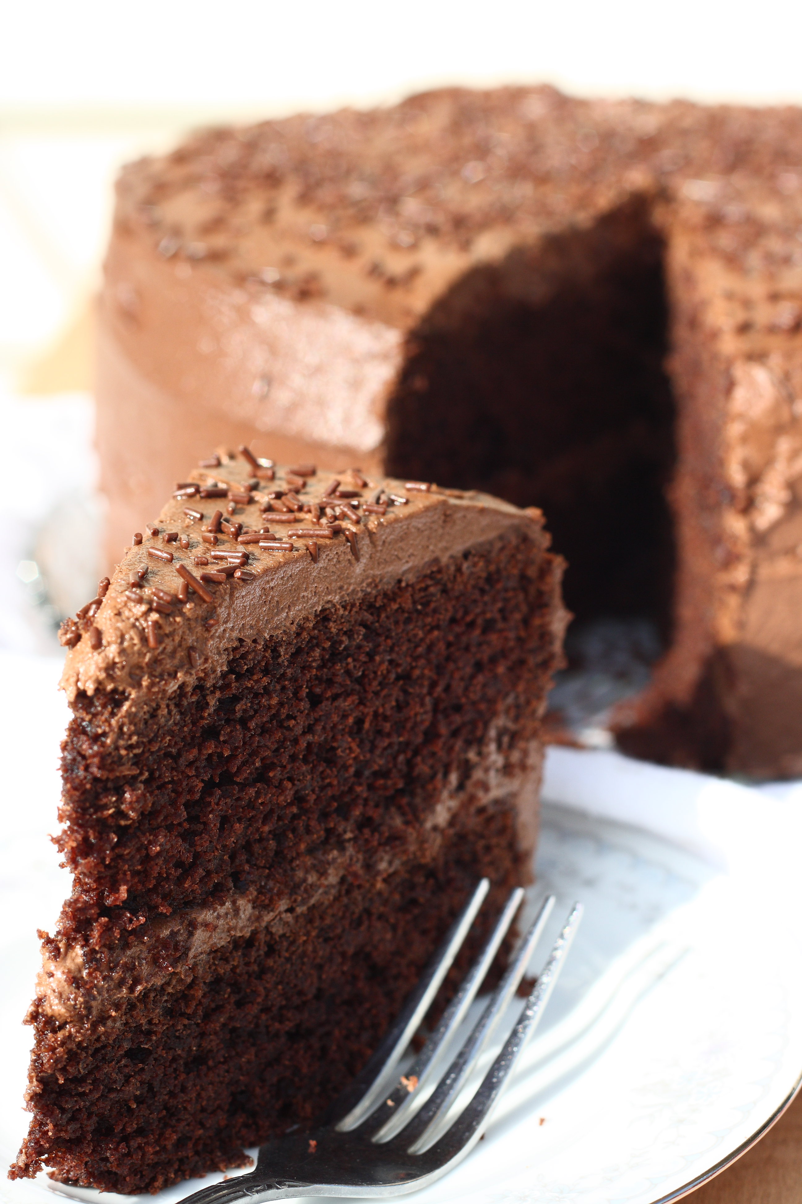 Super Moist Gluten Free Chocolate Cake Recipe - For Him and My Family