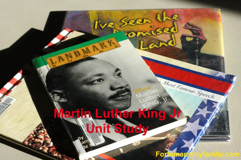 martin luther king jr unit study