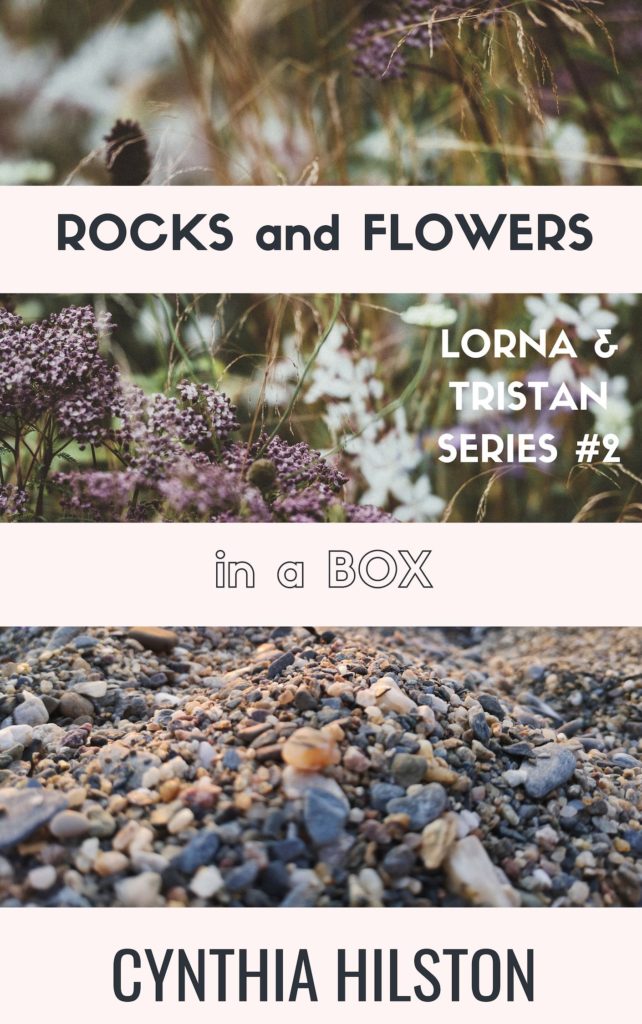 Rocks and Flowers in a Box