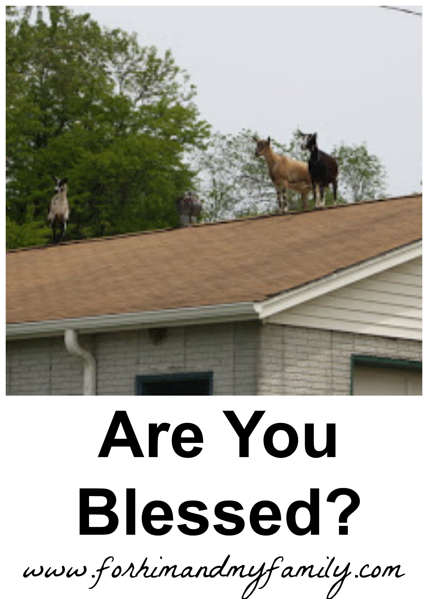 Are you blessed?