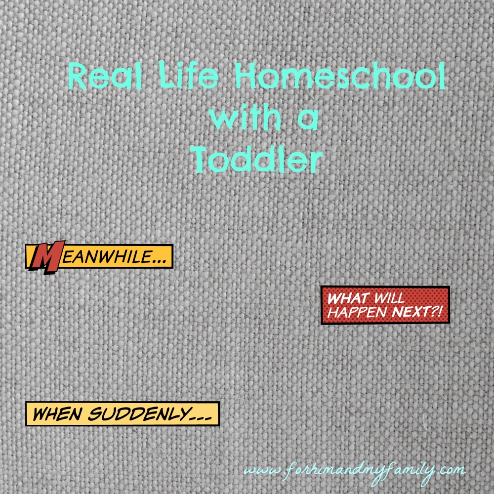 Real Life Homeschool with a Toddler