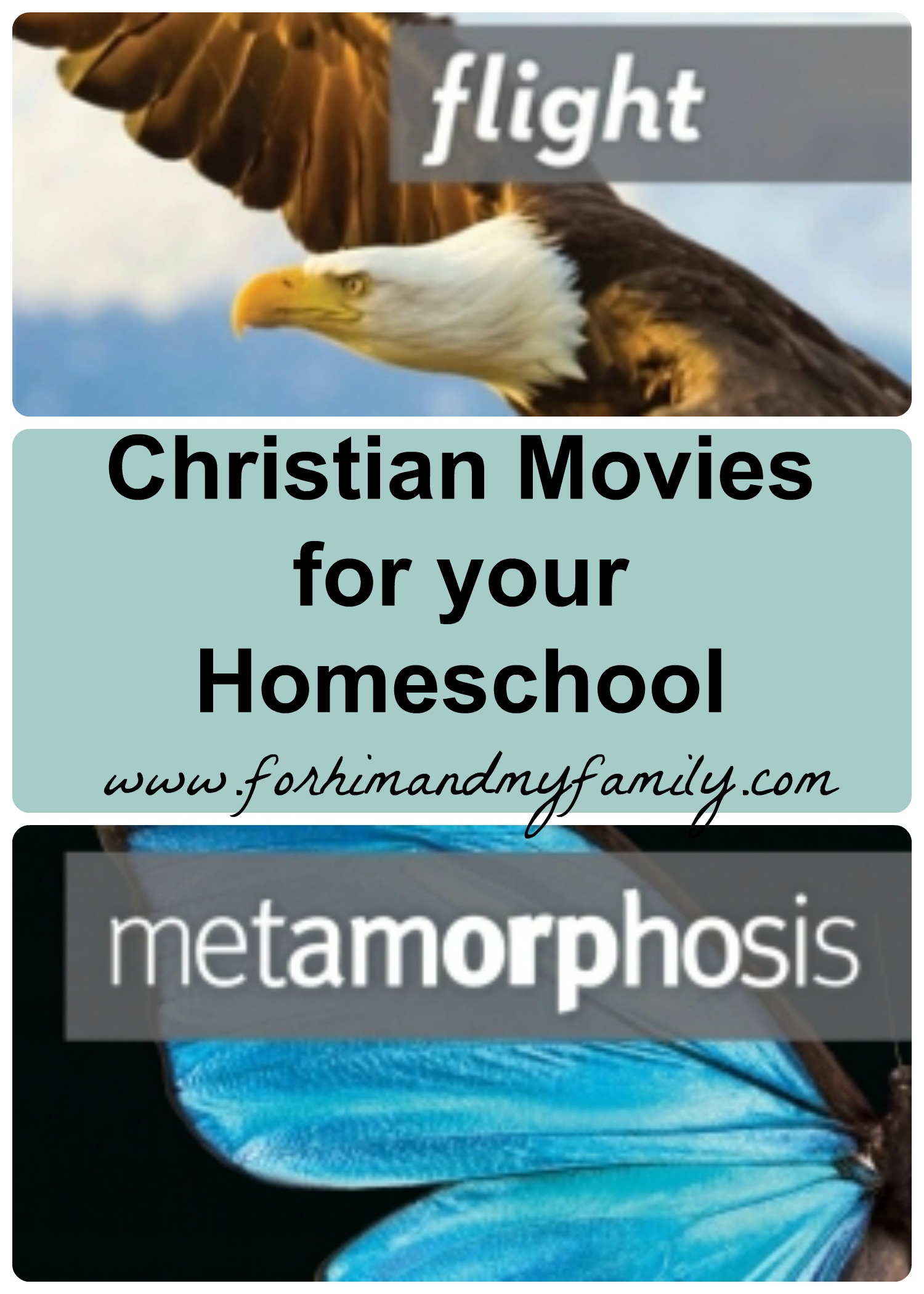 Christian movies homeschool review