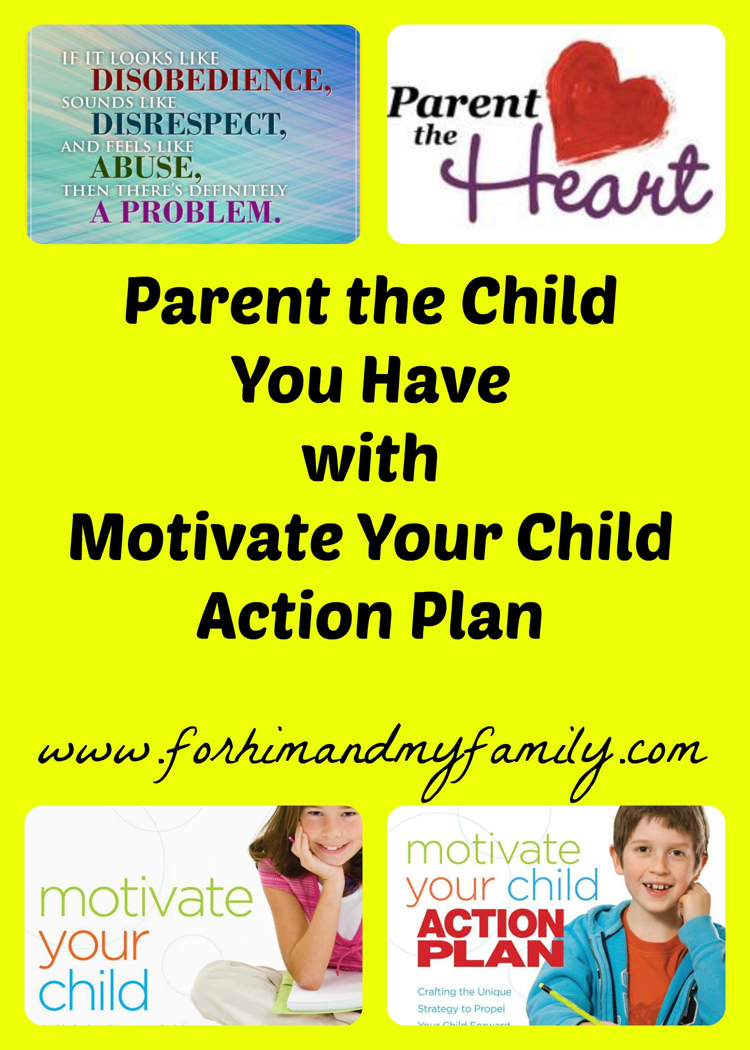 Parenting the Child You Have {Review}