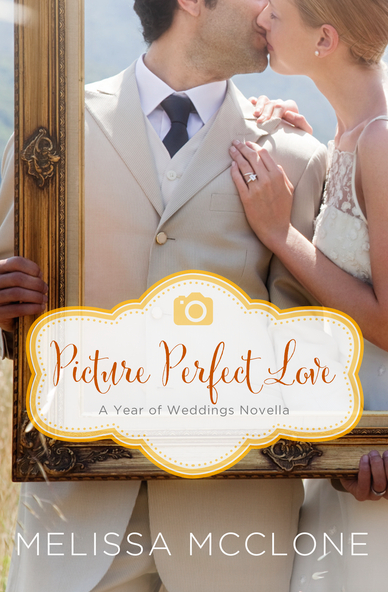 Picture Perfect Love Book Review {Litfuse Review}