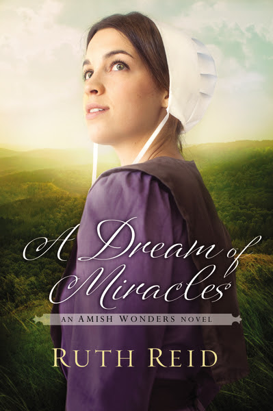 A Dream of Miracles {Litfuse Review}