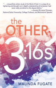 The Other 3:16s
