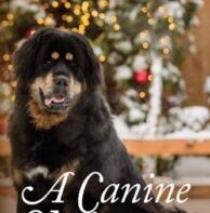 A Canine Christmas