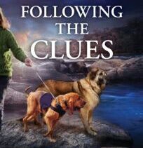 Following the Clues