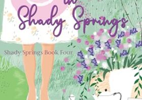 New Beginnings in Shady Springs
